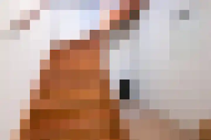 Kardeel 25 Zeewolde thumbnail 37