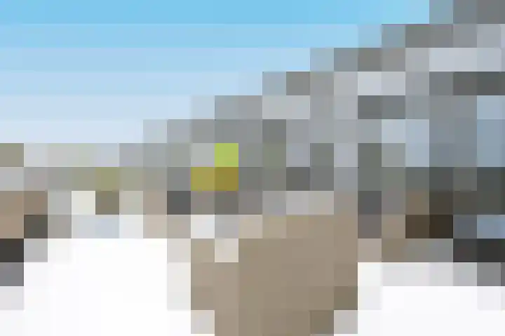 Kardeel 25 Zeewolde thumbnail 41