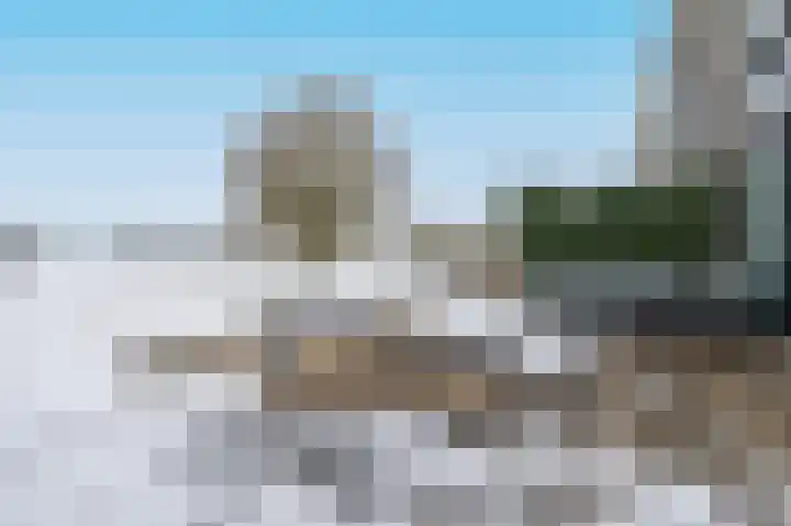 Kardeel 25 Zeewolde thumbnail 44