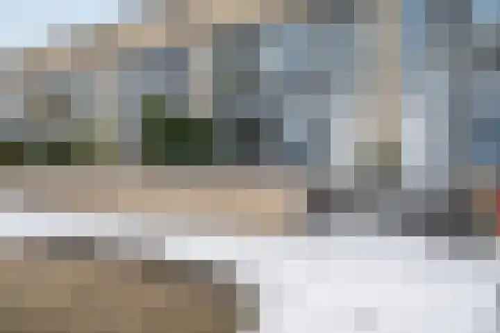 Kardeel 25 Zeewolde thumbnail 46