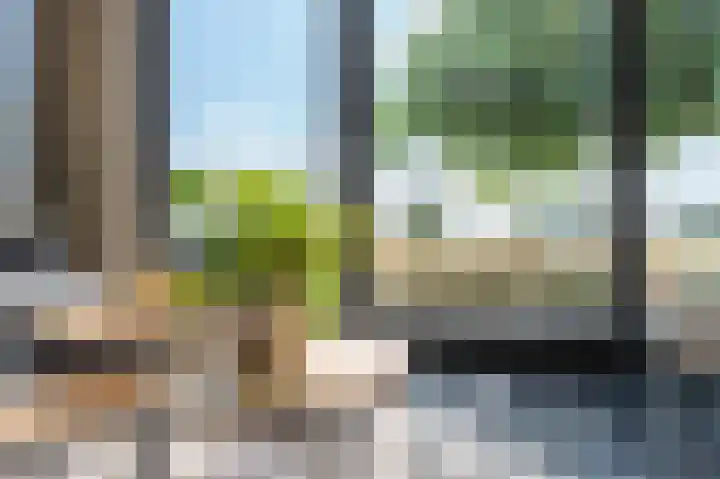 Kardeel 27 Zeewolde thumbnail 18