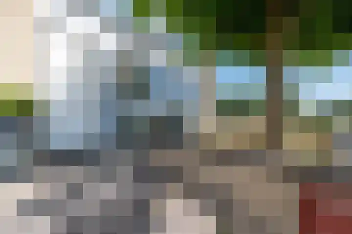 Kardeel 27 Zeewolde thumbnail 51