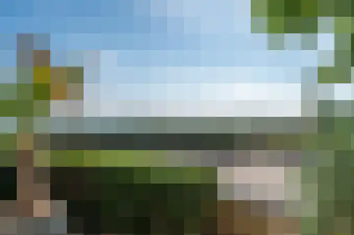 Kardeel 27 Zeewolde thumbnail 55