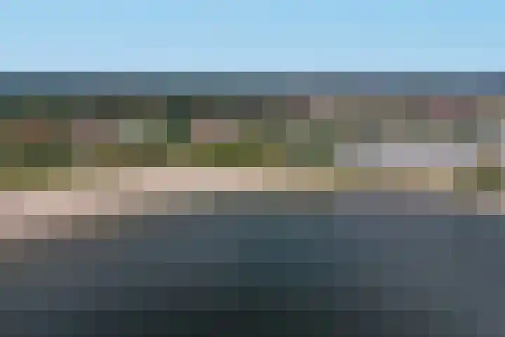 Kardeel 27 Zeewolde thumbnail 57