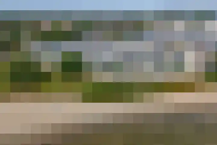 Kardeel 27 Zeewolde thumbnail 59