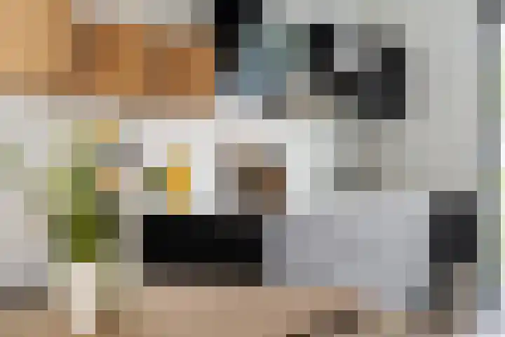 Kardemom 18 Numansdorp thumbnail 16