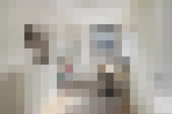 Kardemom 18 Numansdorp thumbnail 21