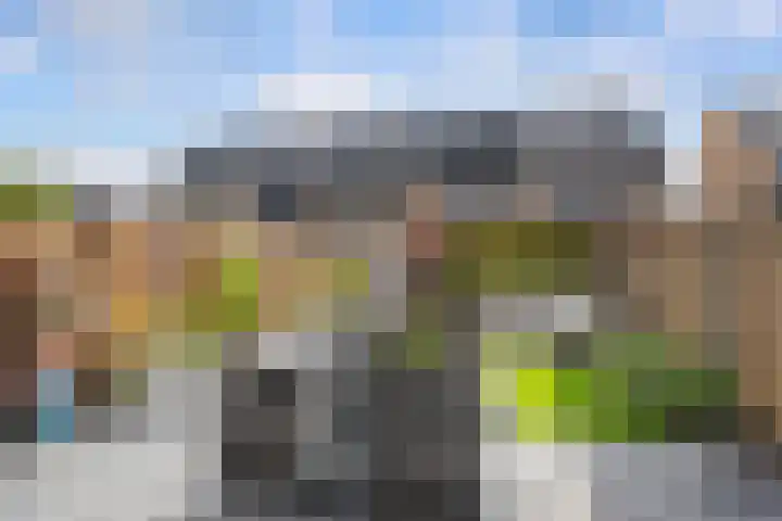 Kardemom 18 Numansdorp thumbnail 26