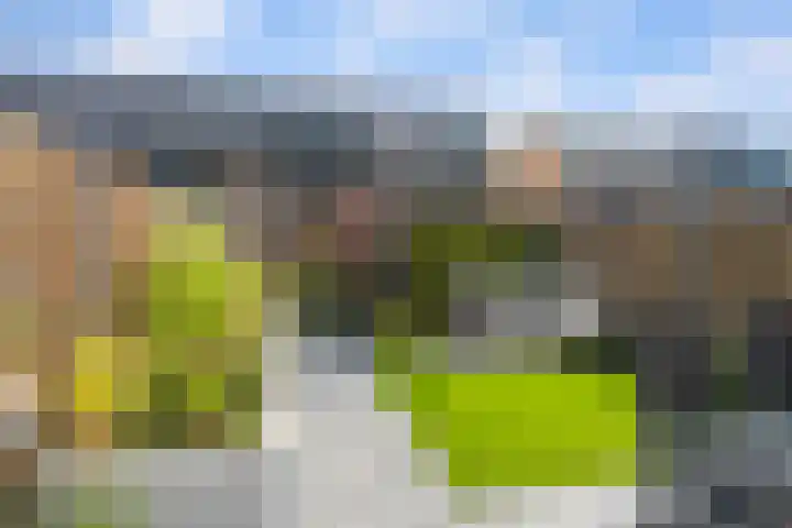 Kardemom 18 Numansdorp thumbnail 27