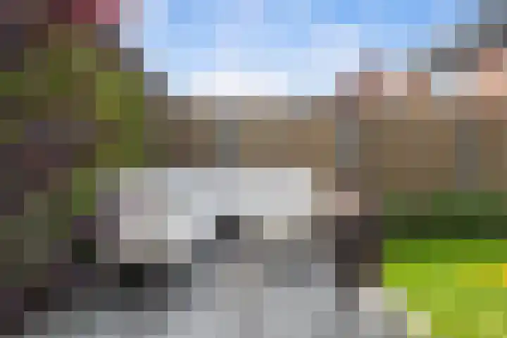 Kardemom 18 Numansdorp thumbnail 28