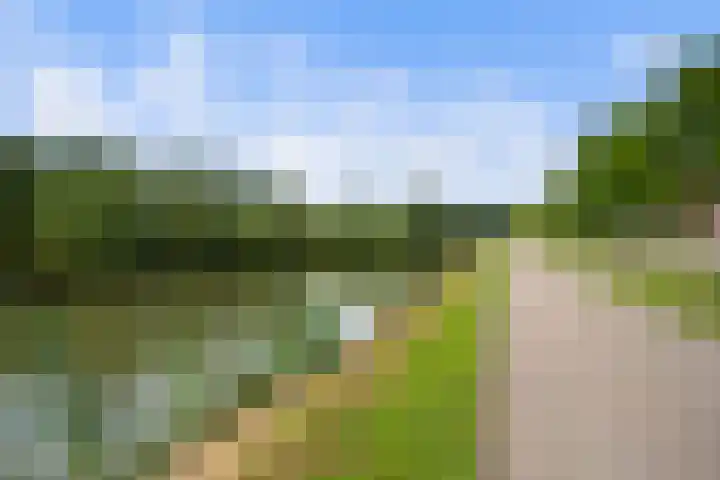 Kardemom 18 Numansdorp thumbnail 32