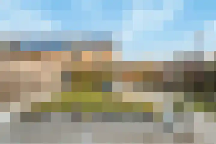 Kardemom 2 Numansdorp foto 3