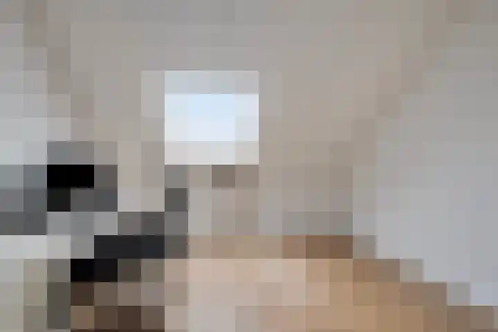 Kardemom 2 Numansdorp thumbnail 35