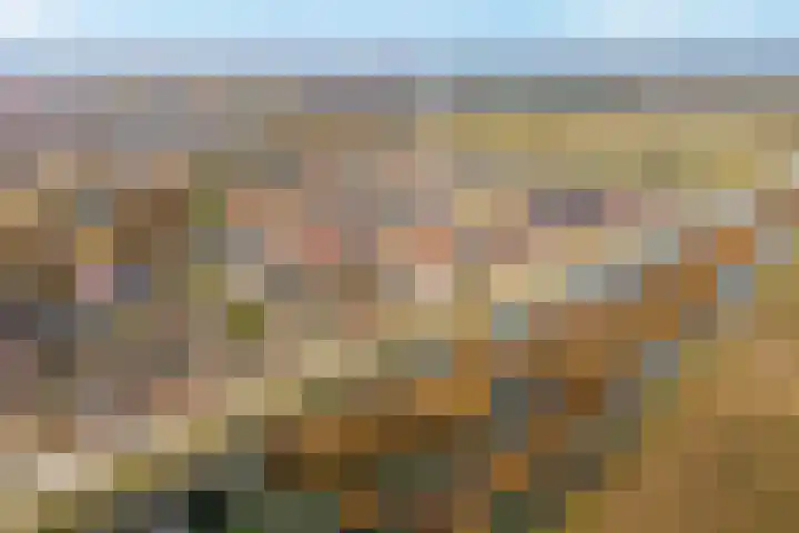 Kardemom 2 Numansdorp thumbnail 42