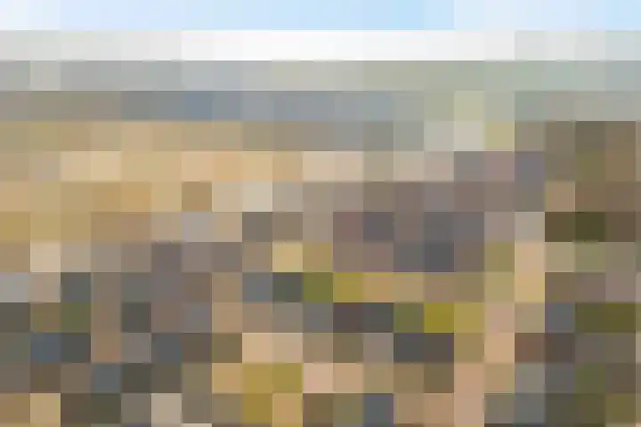 Kardemom 2 Numansdorp thumbnail 43