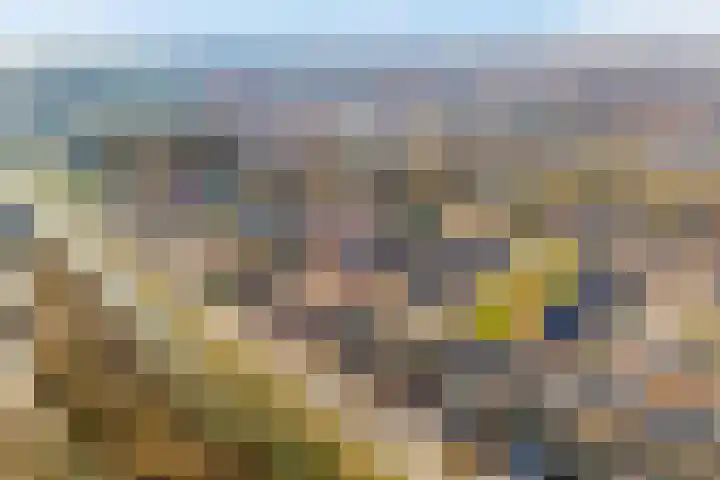 Kardemom 2 Numansdorp thumbnail 44