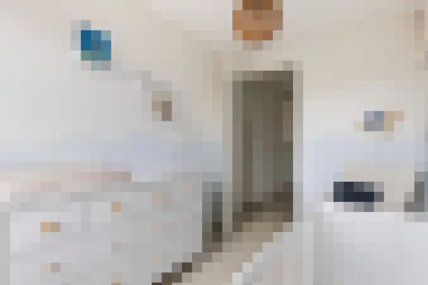 Kardemomweg 44 Utrecht thumbnail 19