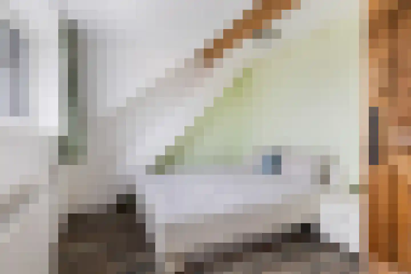 Kardemomweg 44 Utrecht thumbnail 26