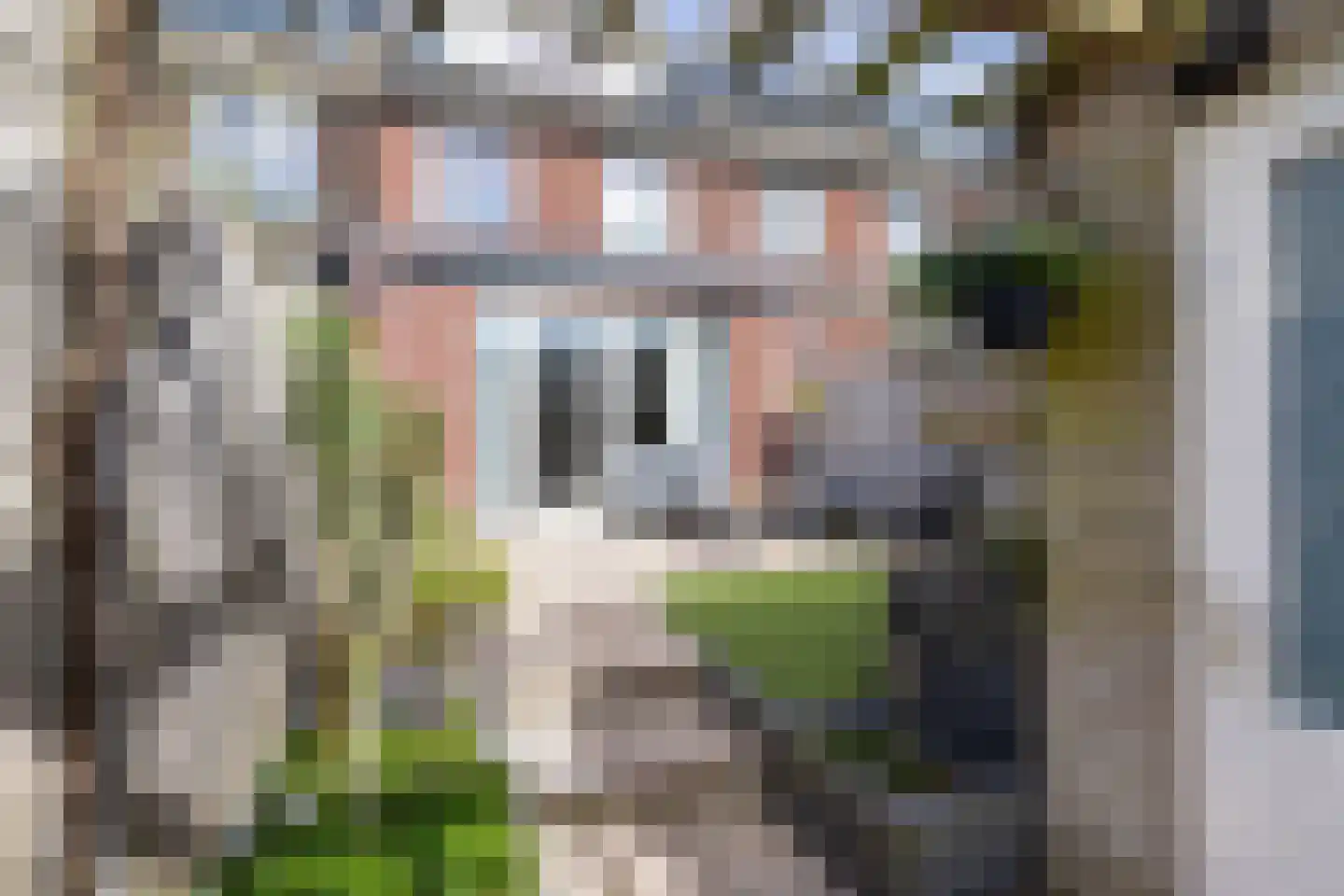 Kardemomweg 44 Utrecht thumbnail 38