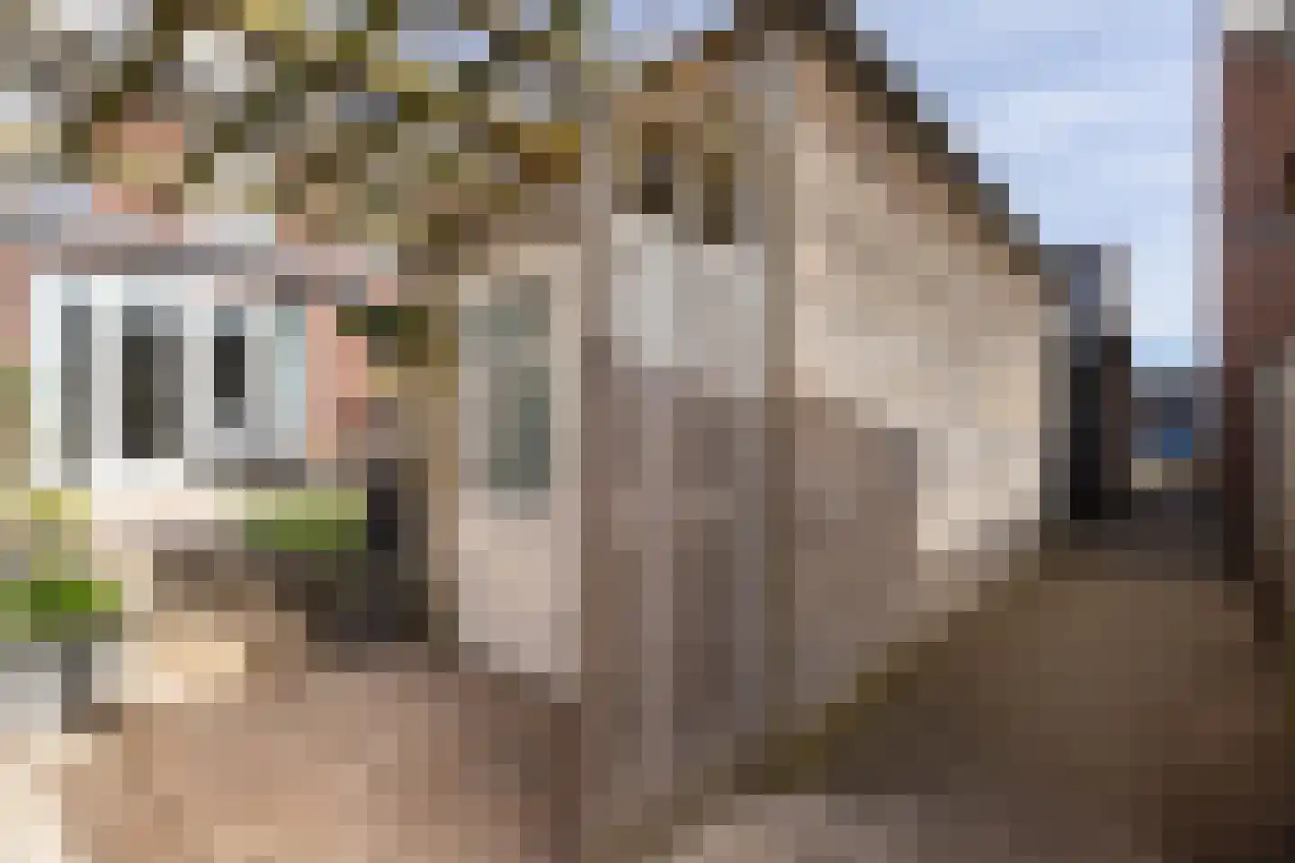 Kardemomweg 44 Utrecht thumbnail 39