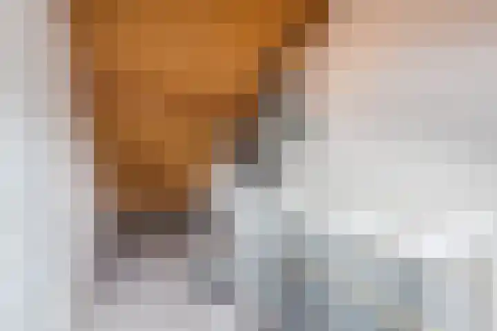 Kardinaal Alfrinklaan 14 Nijkerk thumbnail 25