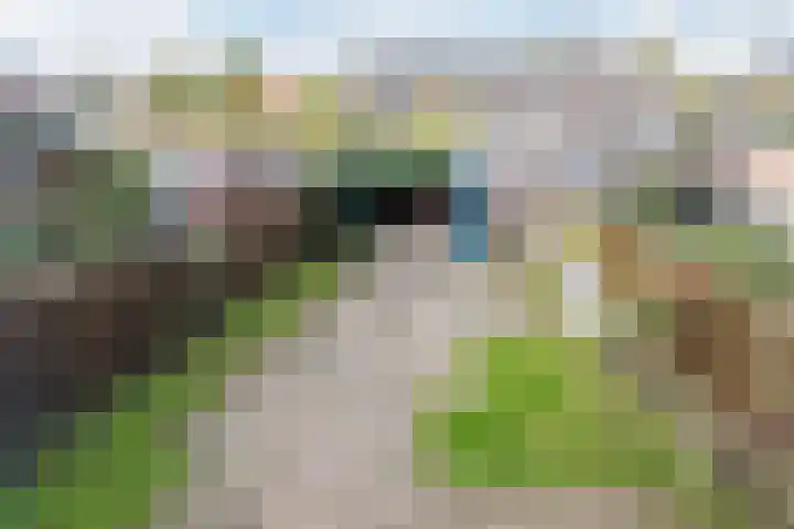 Kardinaal Alfrinklaan 14 Nijkerk thumbnail 26