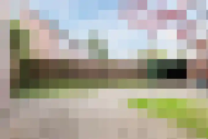 Kardinaal Alfrinklaan 14 Nijkerk thumbnail 29