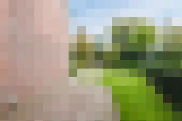 Kardinaal Alfrinklaan 14 Nijkerk thumbnail 33