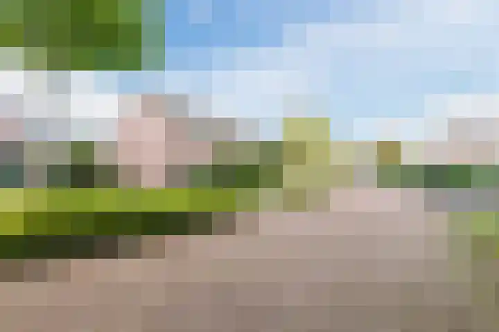 Kardinaal Alfrinklaan 14 Nijkerk thumbnail 35