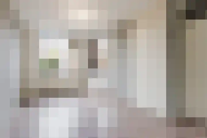 Kardinaal Alfrinklaan 14 Nijkerk thumbnail 5
