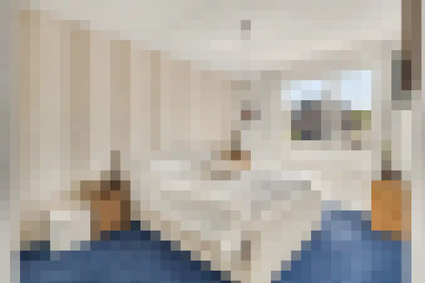 Kardinaal Alfrinklaan 143 Nijkerk thumbnail 18