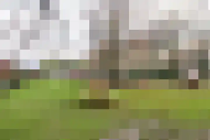 Kardinaal Alfrinklaan 25 Driebergen-Rijsenburg thumbnail 21