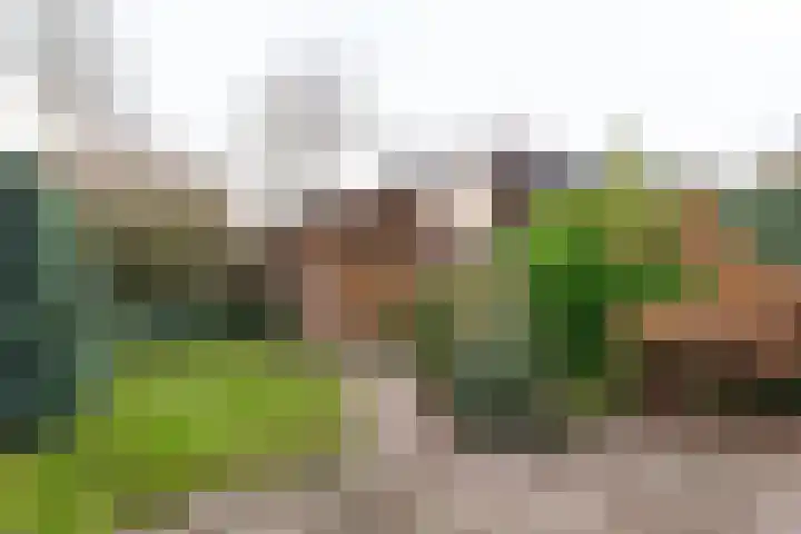 Kardinaal Alfrinklaan 25 Driebergen-Rijsenburg thumbnail 9
