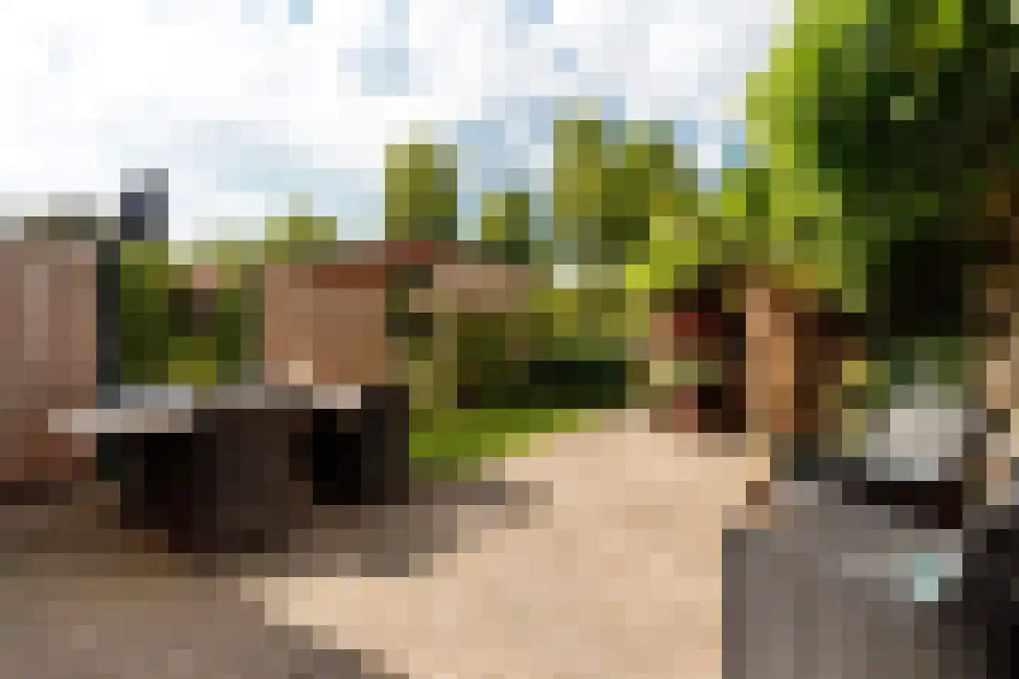 Kardinaal Alfrinklaan 29 Driebergen-Rijsenburg thumbnail 33