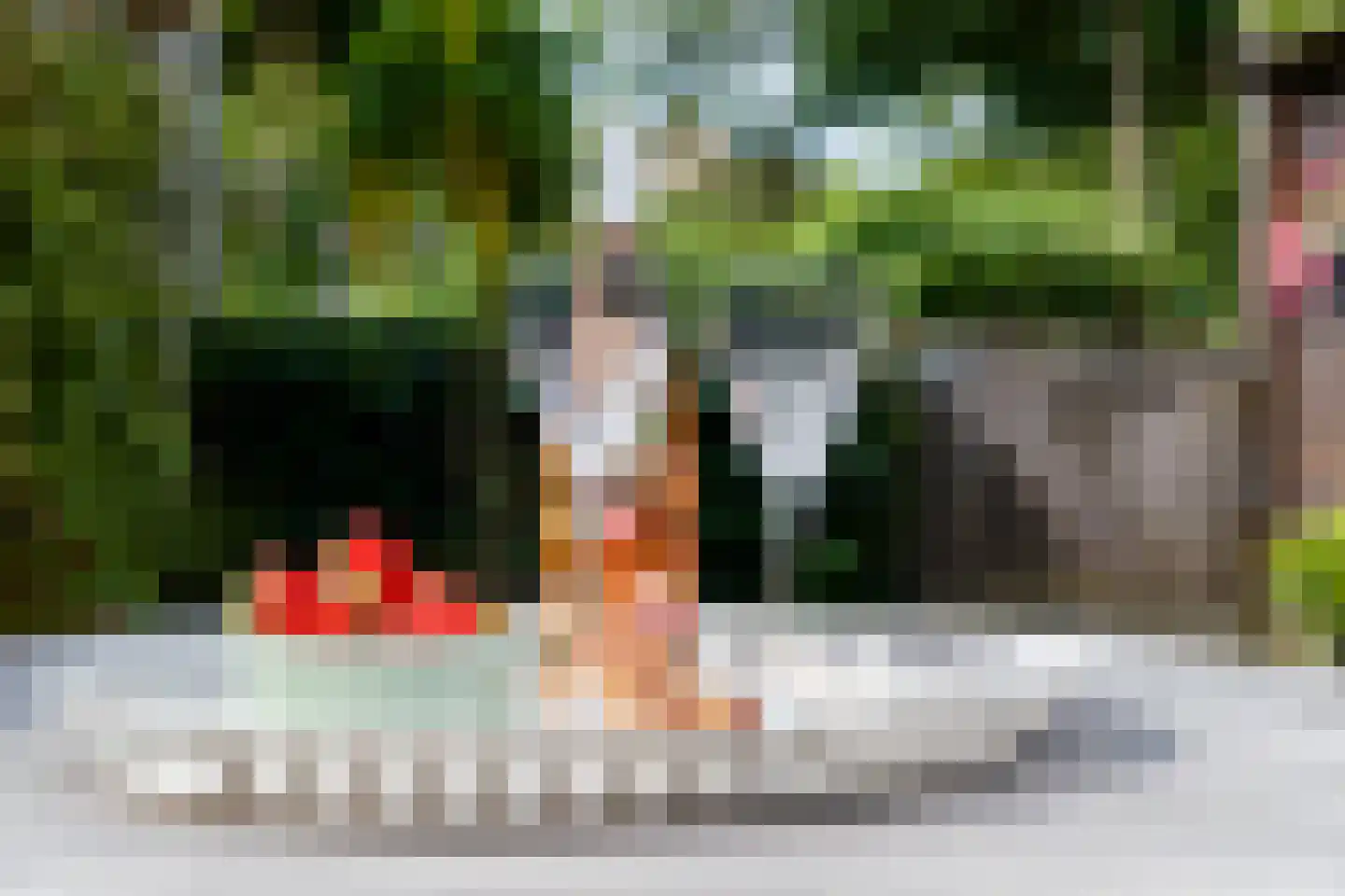 Kardinaal Alfrinklaan 29 Driebergen-Rijsenburg thumbnail 35