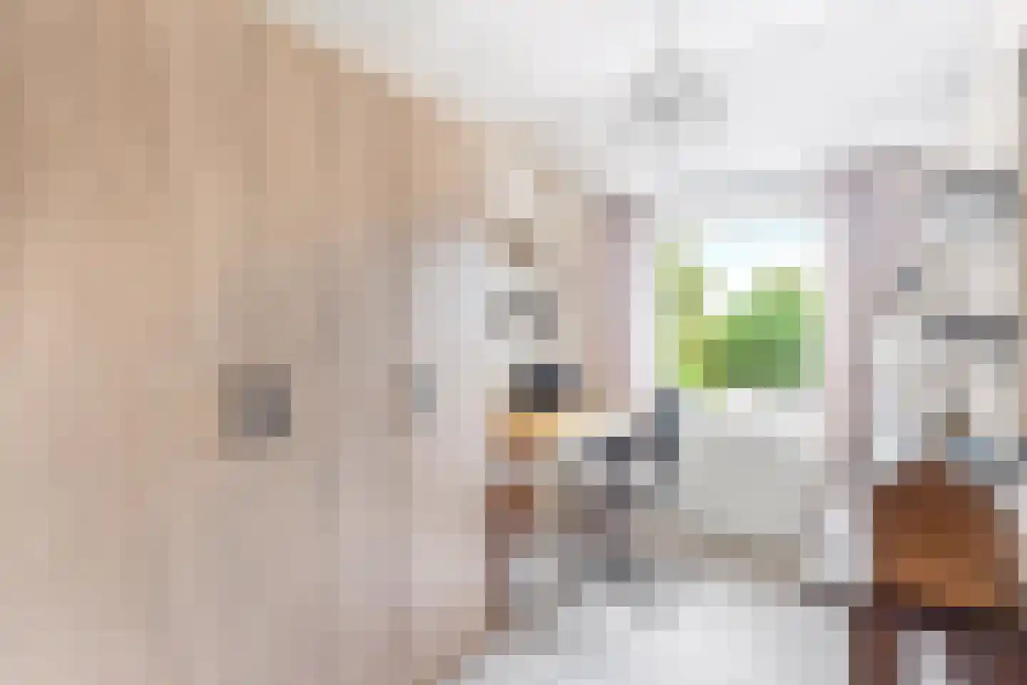 Kardinaal Alfrinklaan 40 Nijkerk thumbnail 26