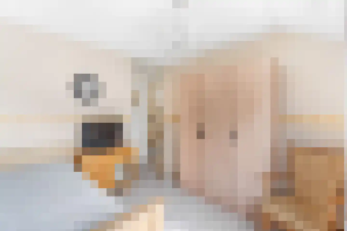 Kardinaal Alfrinklaan 40 Nijkerk thumbnail 29