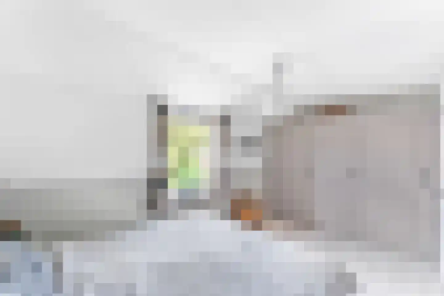 Kardinaal Alfrinklaan 40 Nijkerk thumbnail 34