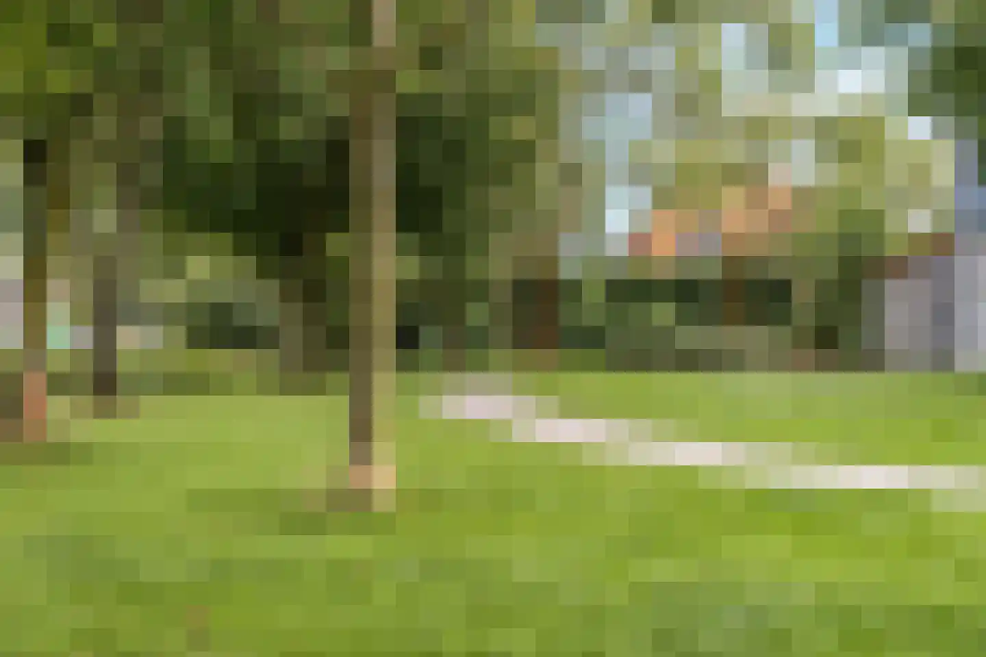 Kardinaal Alfrinklaan 40 Nijkerk thumbnail 49