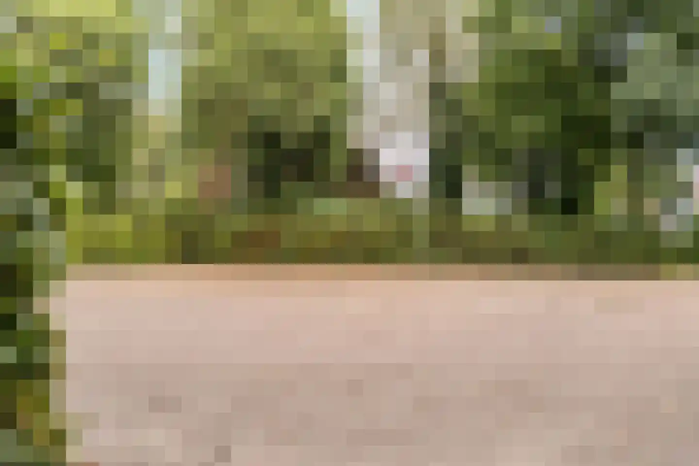 Kardinaal Alfrinklaan 40 Nijkerk thumbnail 50