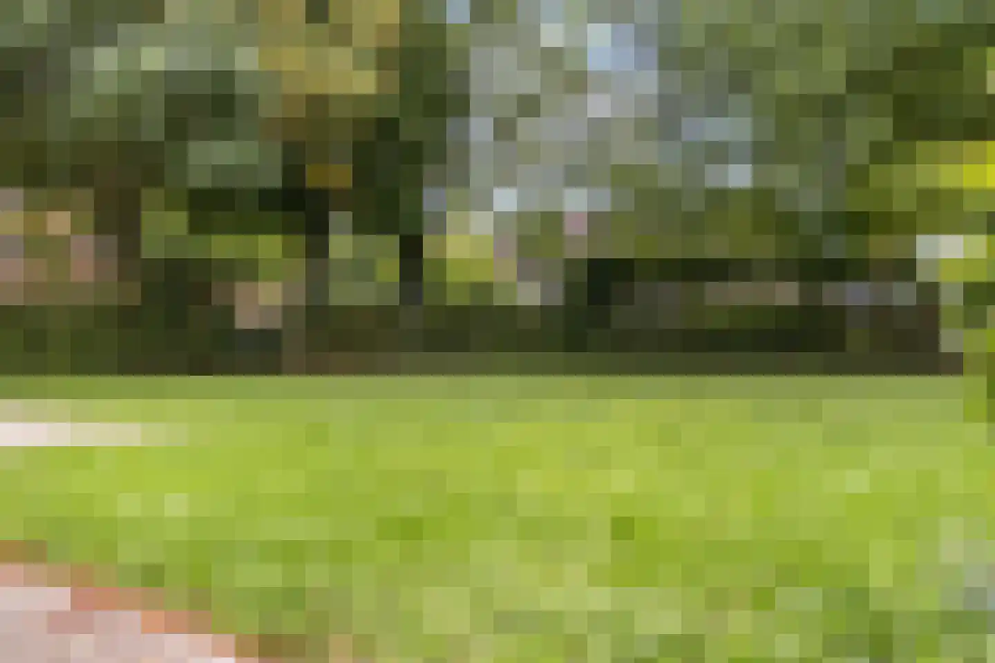 Kardinaal Alfrinklaan 40 Nijkerk thumbnail 51