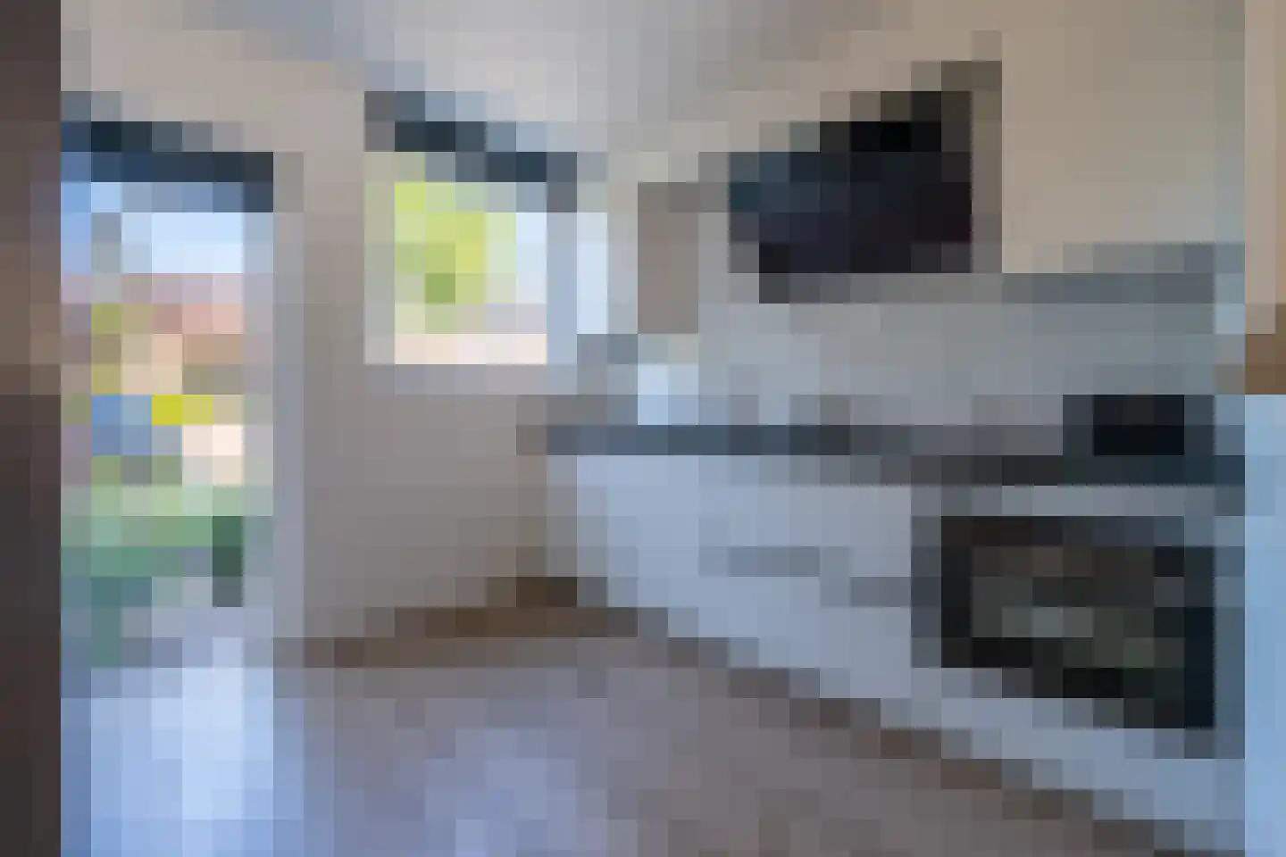 Kardinaal Alfrinklaan 52 Nijkerk thumbnail 12