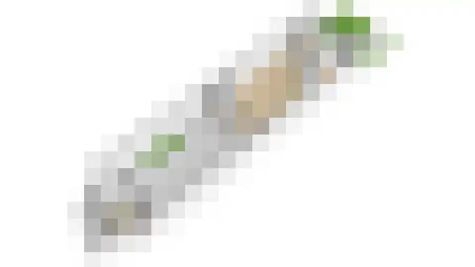 Kardinaal Alfrinklaan 52 Nijkerk thumbnail 49