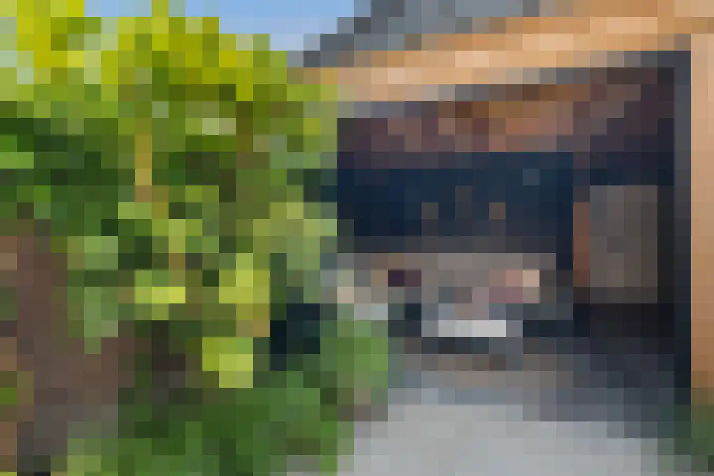 Kardinaal Alfrinklaan 56 Nijkerk thumbnail 16