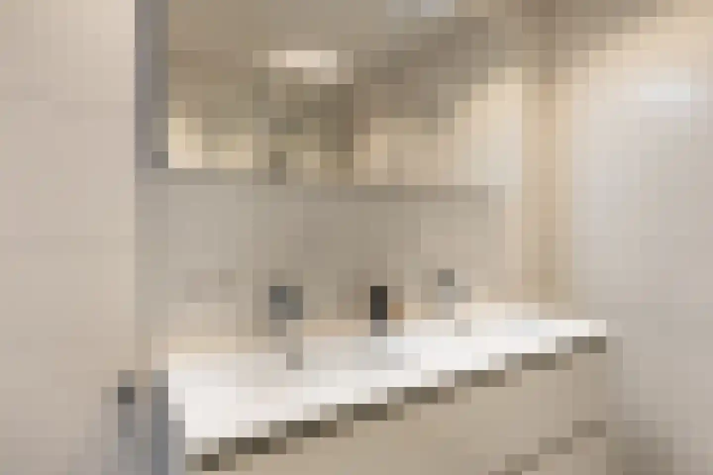 Kardinaal Alfrinklaan 56 Nijkerk thumbnail 28