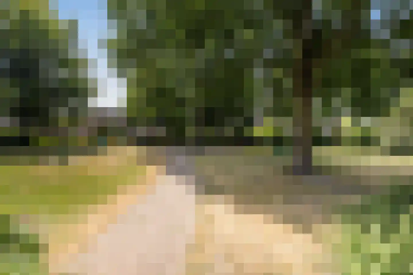 Kardinaal Alfrinklaan 56 Nijkerk thumbnail 38