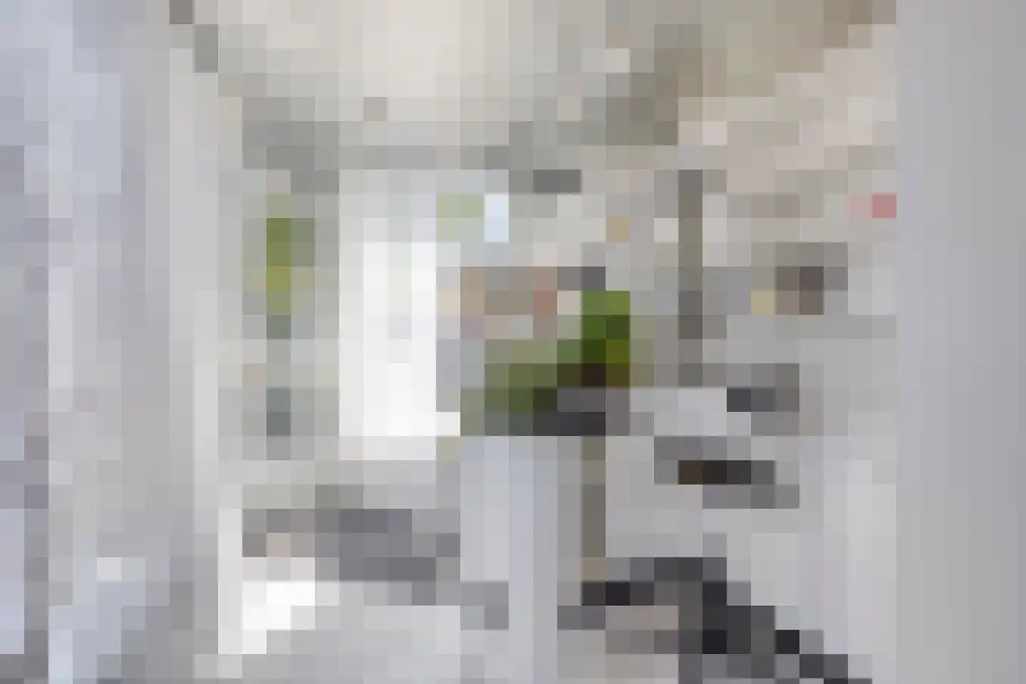 Kardinaal de Jongplein 1 a Tilburg thumbnail 10