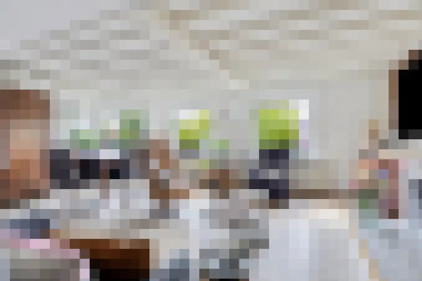 Kardinaal de Jongplein 1 a Tilburg thumbnail 15