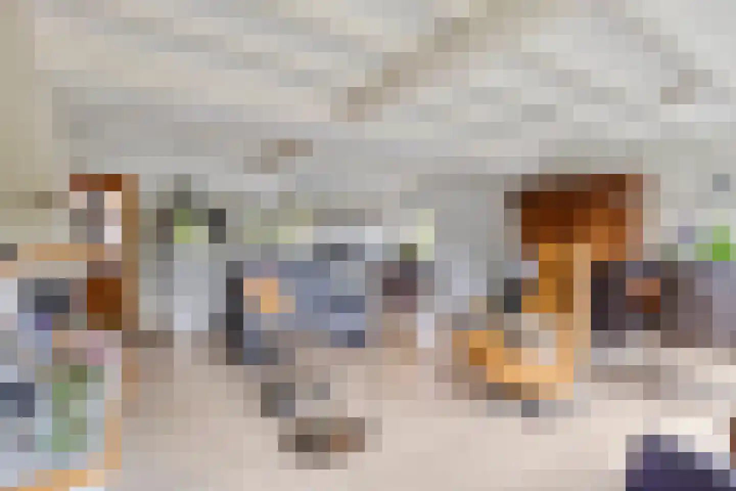 Kardinaal de Jongplein 1 a Tilburg thumbnail 16