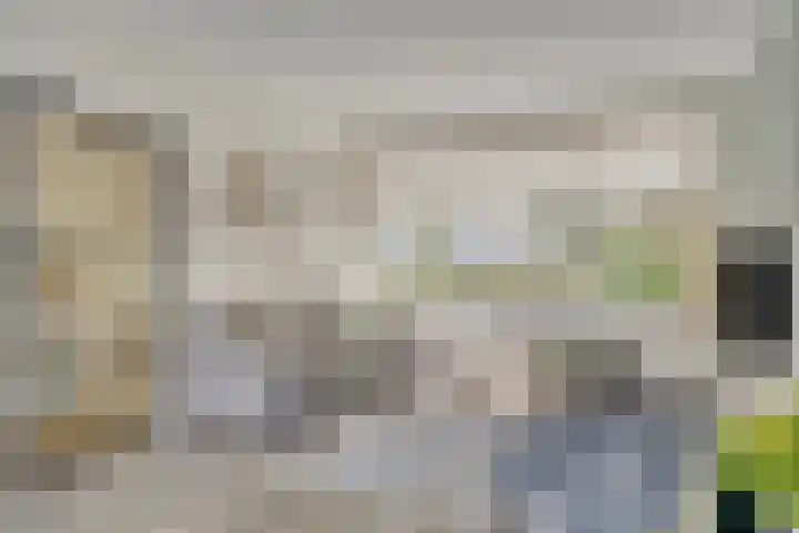 Kardinaal de Jongsingel 21 's-Hertogenbosch thumbnail 10